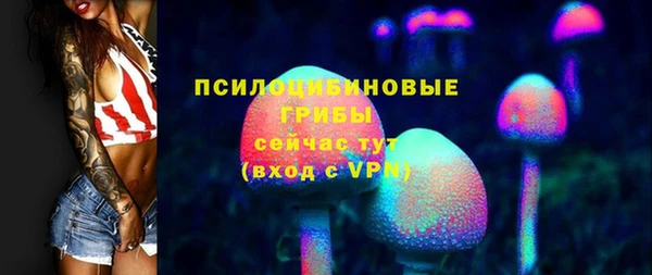 гидропоника Алзамай