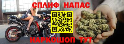 шишки Нарткала