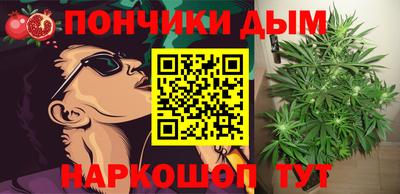 шишки Нарткала