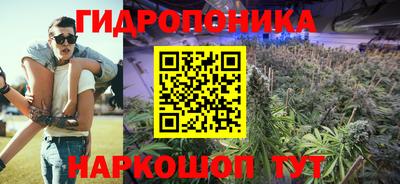 шишки Нарткала